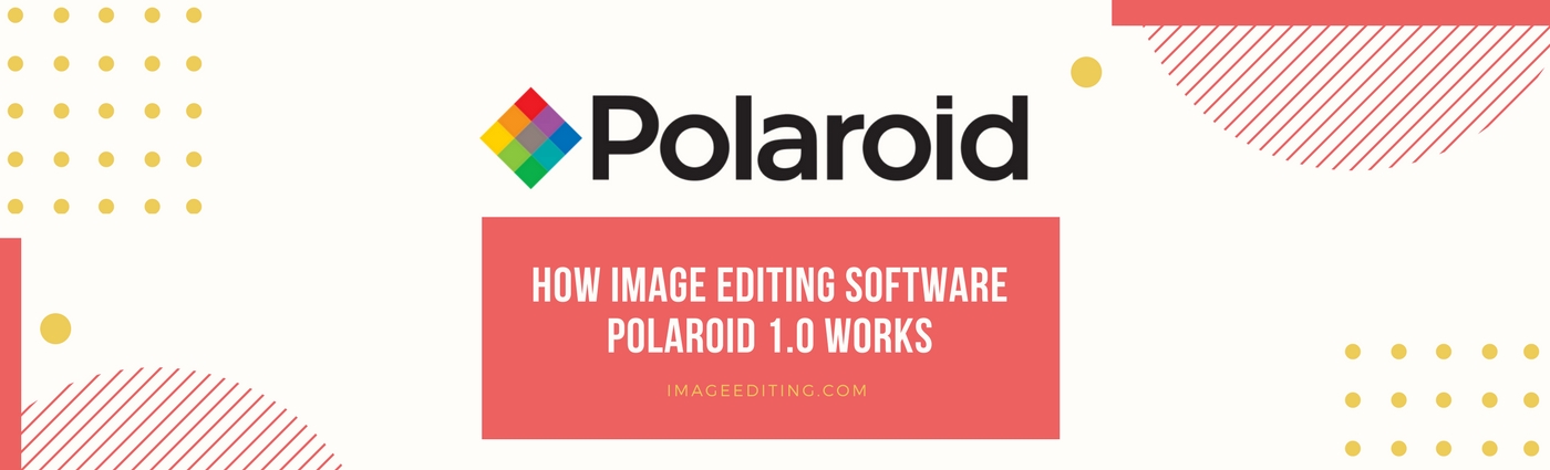 Poladroid Logo Banner