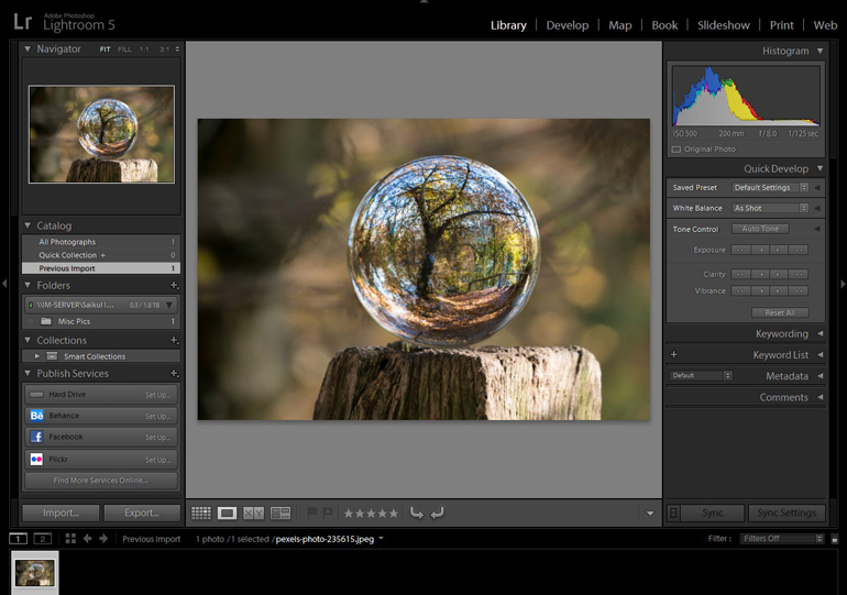 Trees and Forest in a Crystal Ball