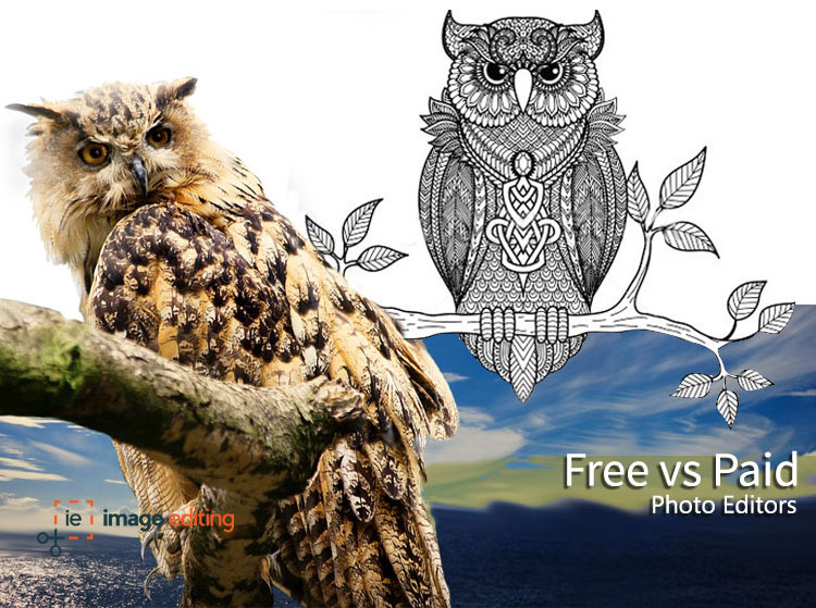 An animated owl & a sketch owl image edited by imageediting