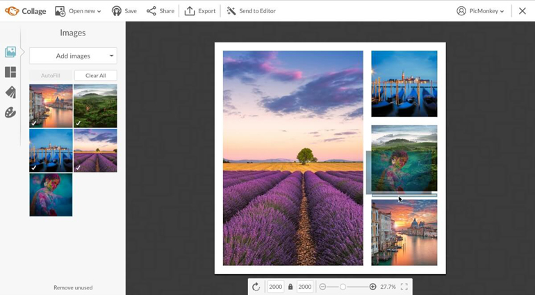 Screenshot of PicMonkey Collage 