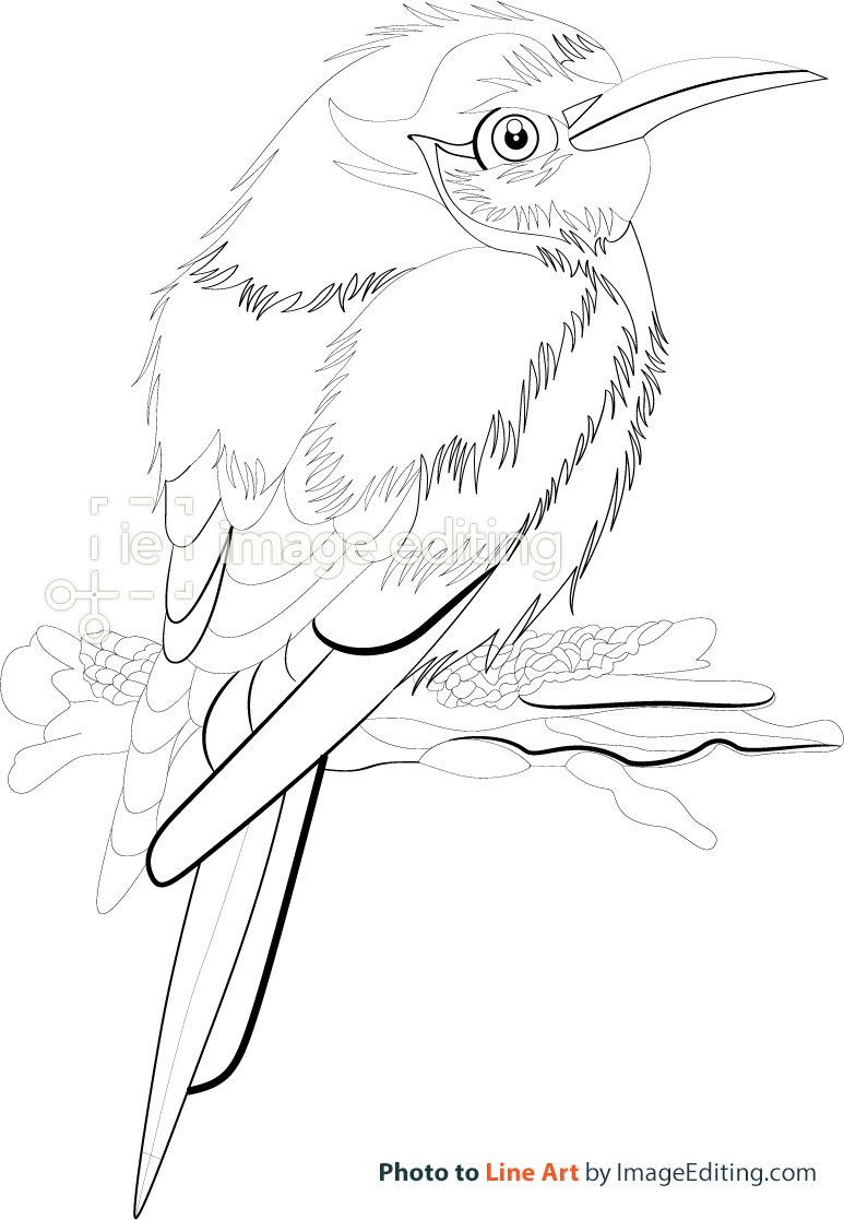 Bird sitting on a branch image embroidery turned into line art by ImageEditing 