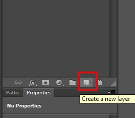 Clicking the New Layer icon