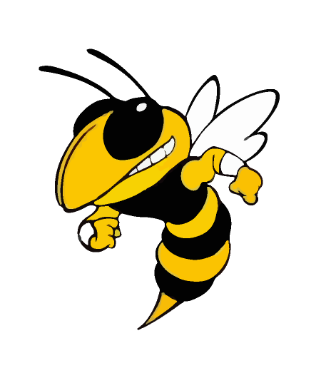 Bumble Bee Digital Embroidery Before Sample Bumble Bee Digital Embroidery Before Sample