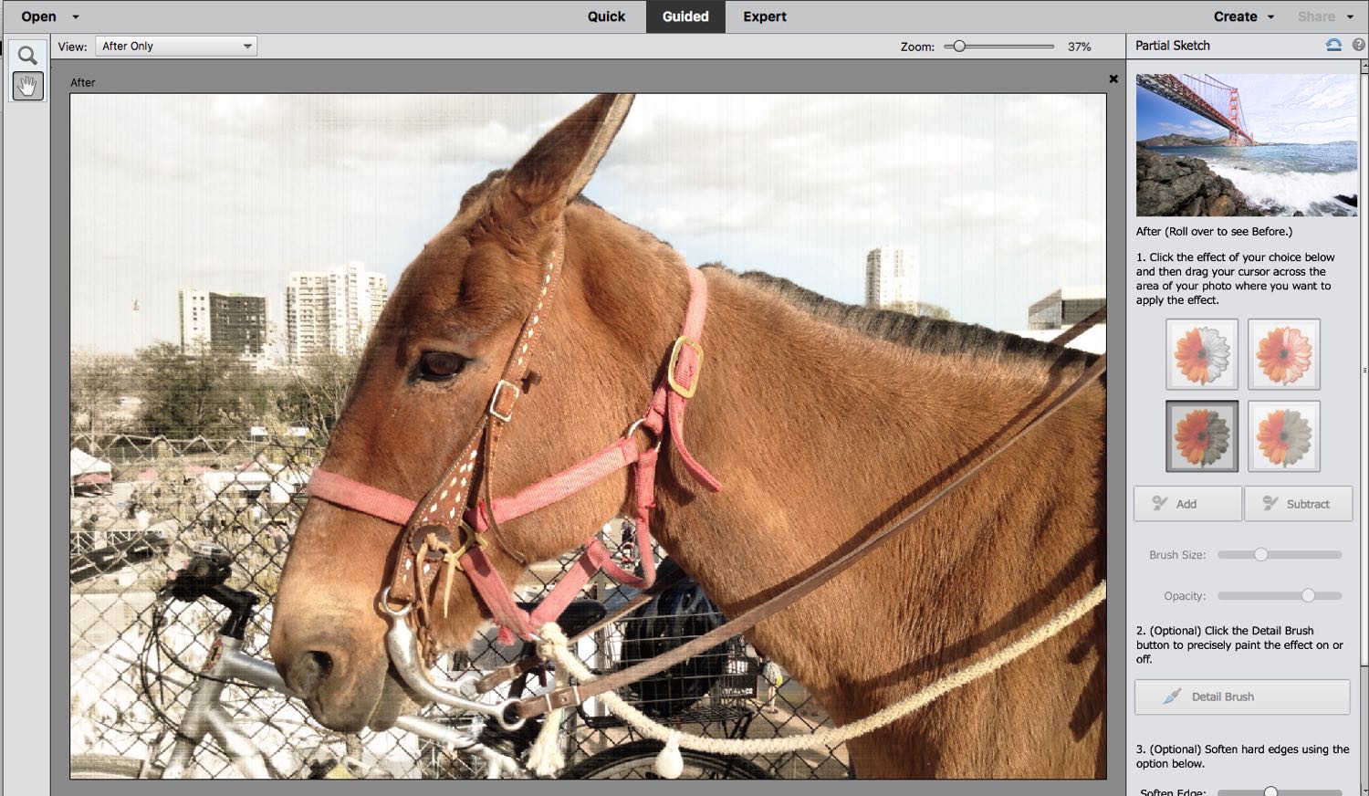 A donkey on the screen