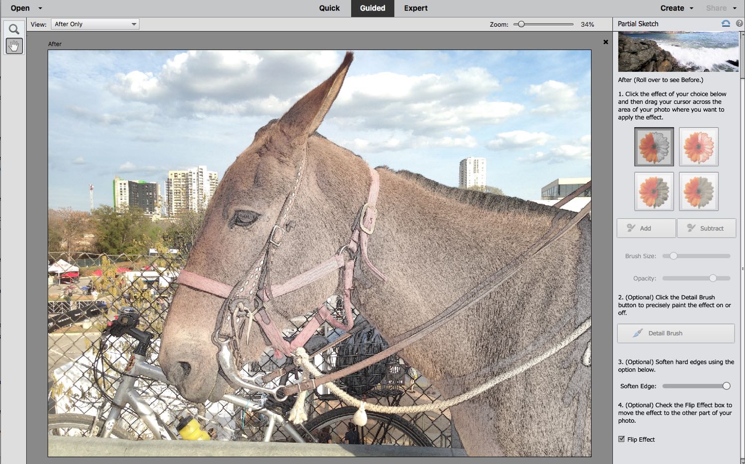 A donkey on the screen & a filter is used to show the effect