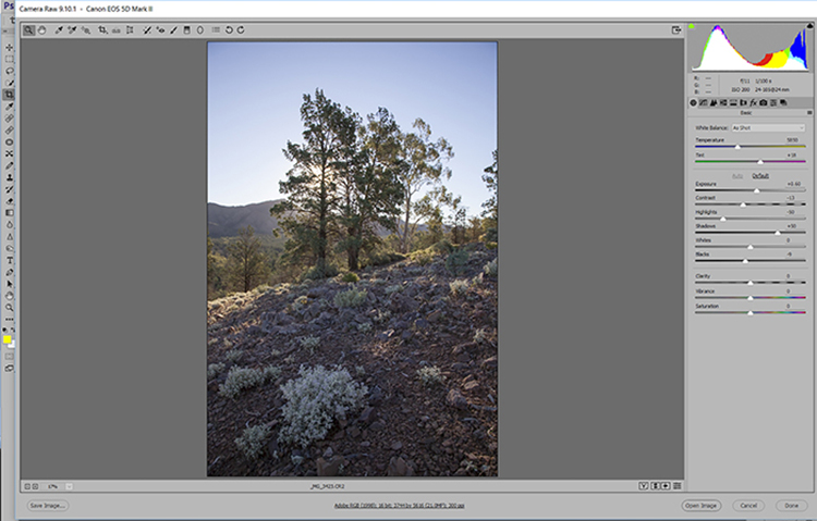 Some trees with natural background 