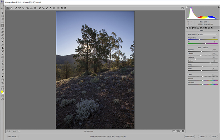 Start by opening the raw file in the conversion software and select the Auto adjustment.